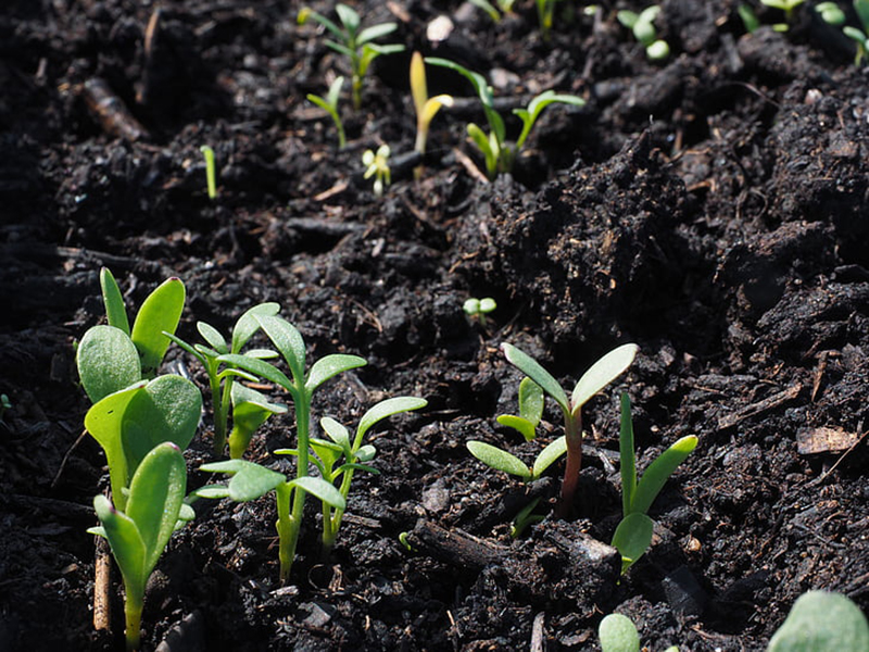 土壤养分检测仪提高农业生产效率
