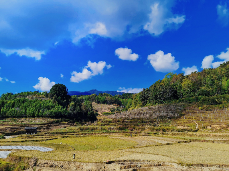 土壤重金属污染