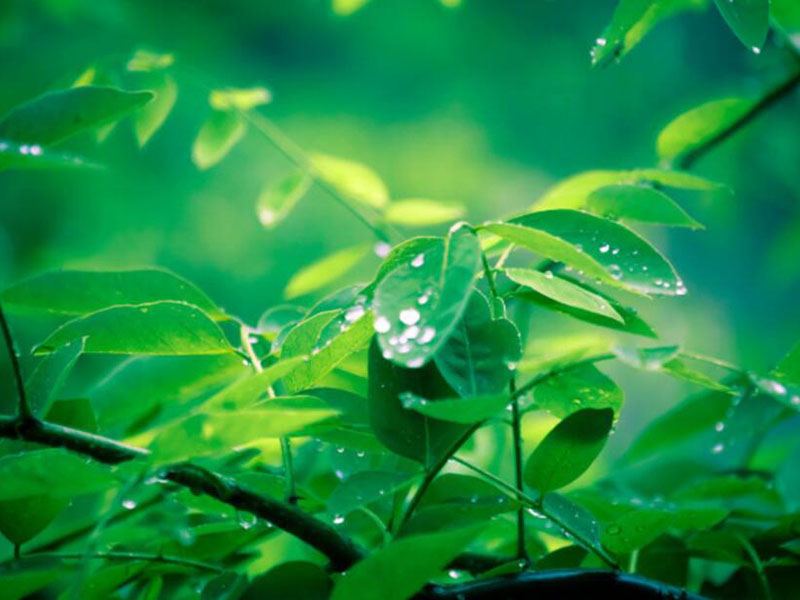 土壤重金属检测仪的使用规范