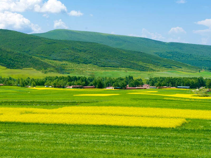 高精度土壤养分检测仪多少钱一台