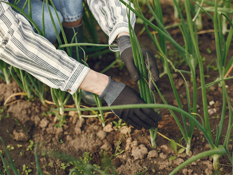 土壤肥料碳氮比检测仪使用说明
