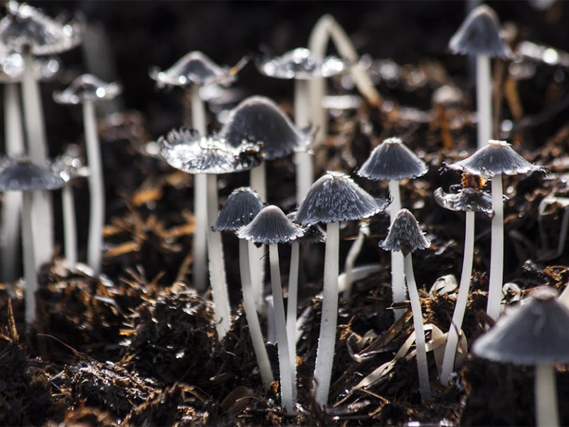 土壤检测标准流程