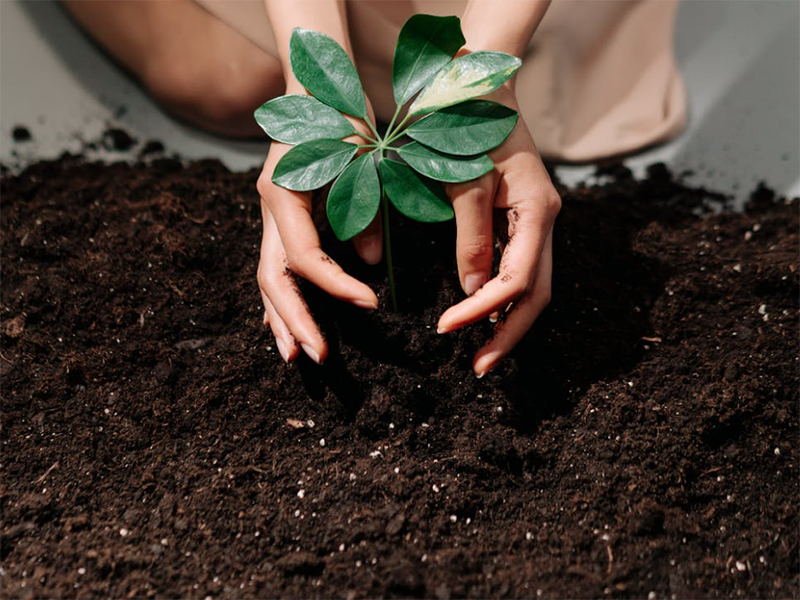 土壤电导率检测仪功能特点