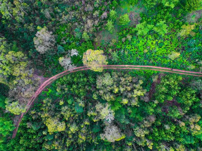 土壤五参数测定仪功能介绍