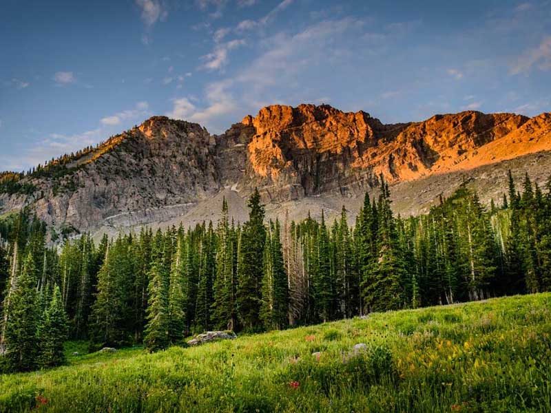 便携式土壤检测仪推介