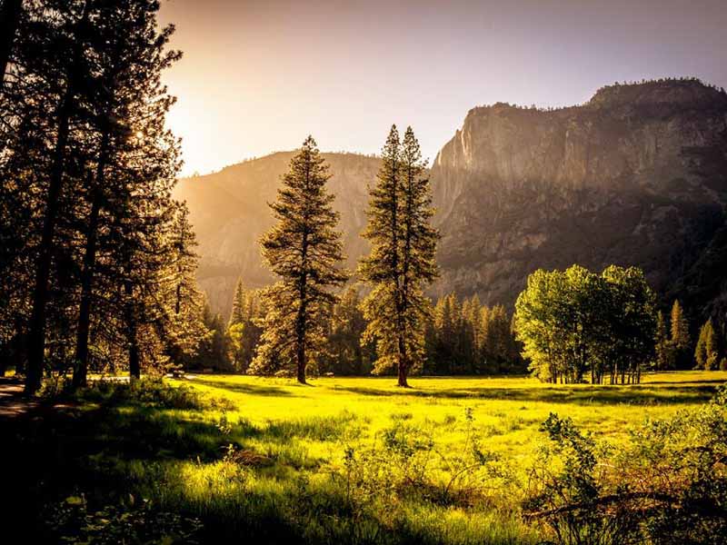 土壤有机质测定仪工作原理