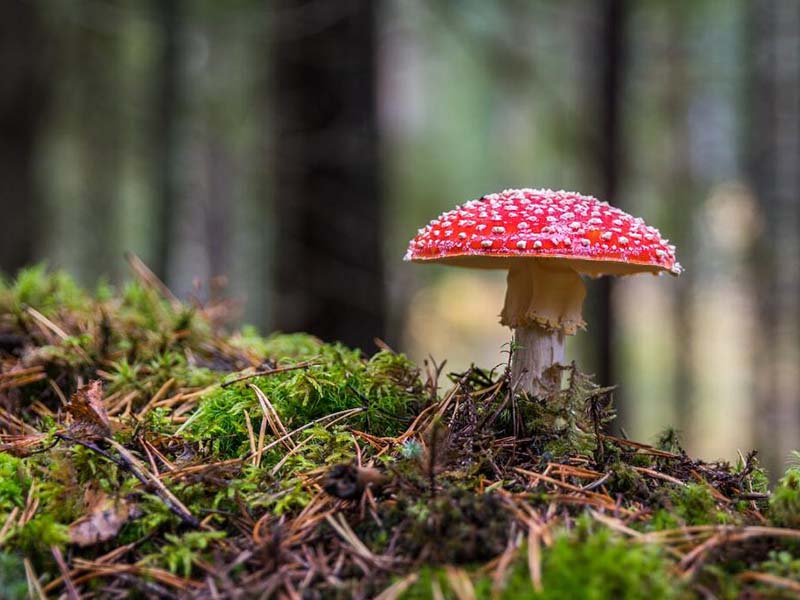 土壤氧化还原电位仪好用吗