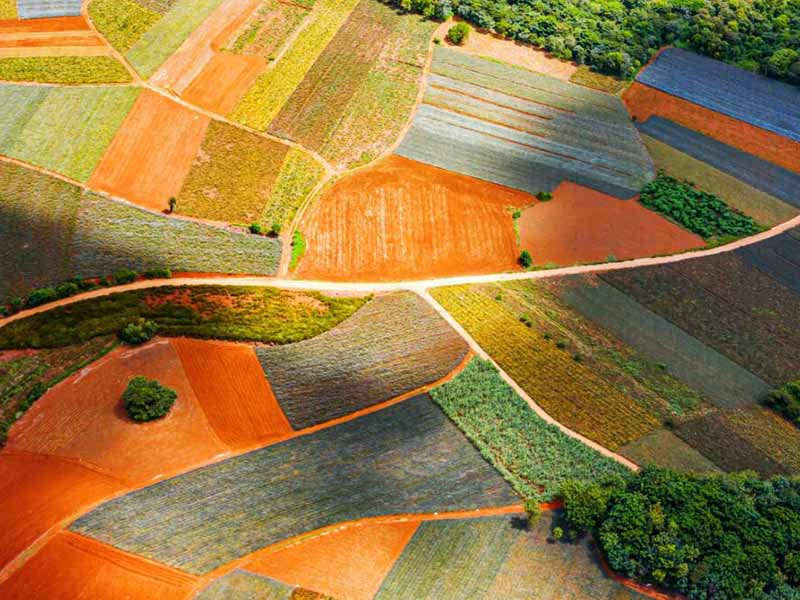 土壤重金属检测仪标准流程