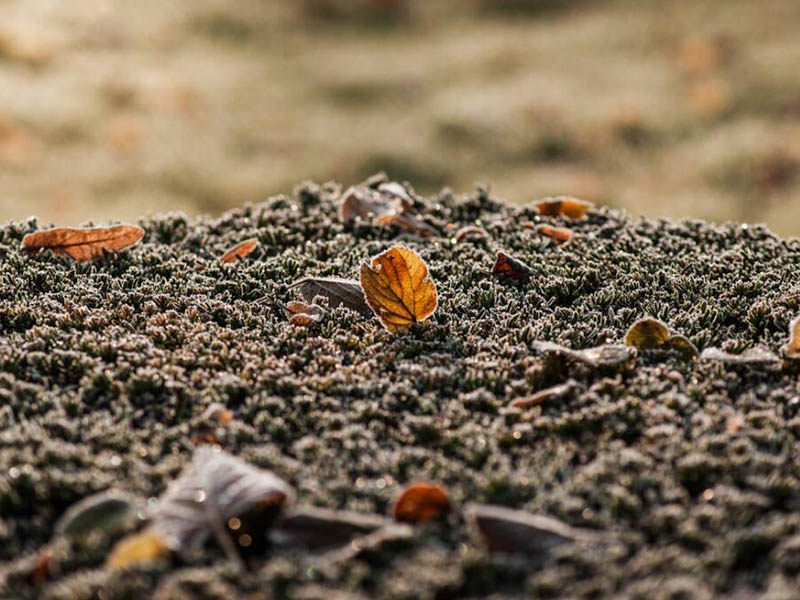 土壤水分与土壤湿度的区别