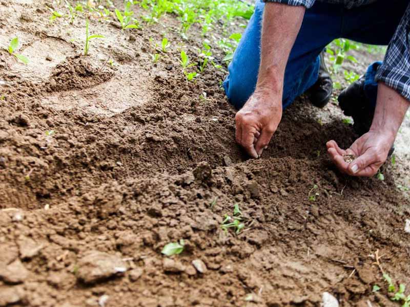 土壤总有机碳检测仪用途