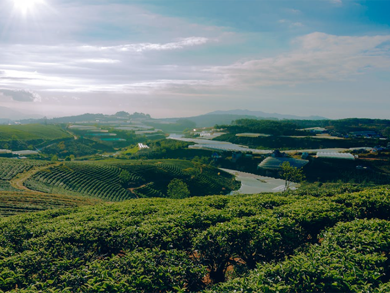 土壤样品的制备方法详解