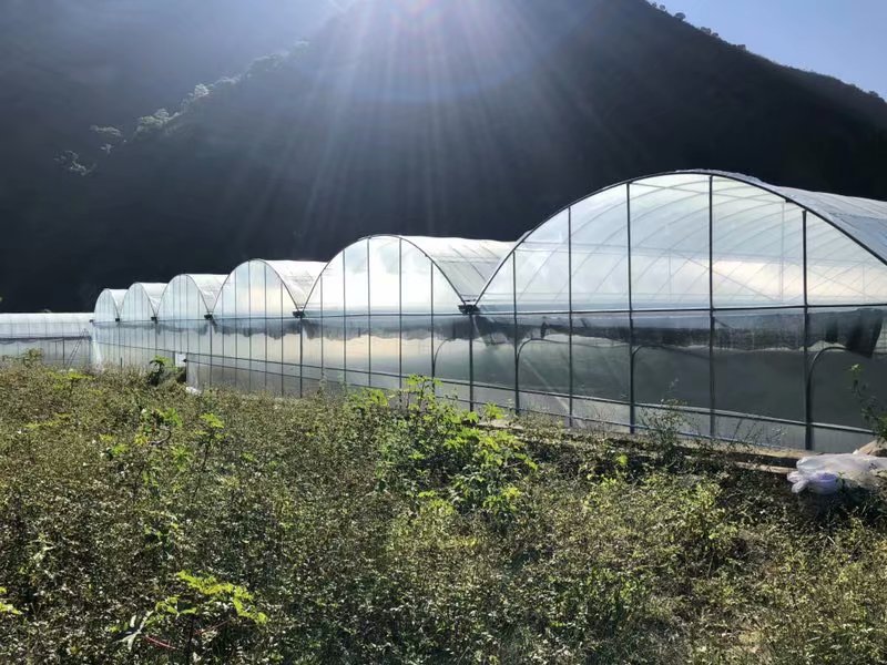 土壤盐分检测仪，可辅助温室大棚种植